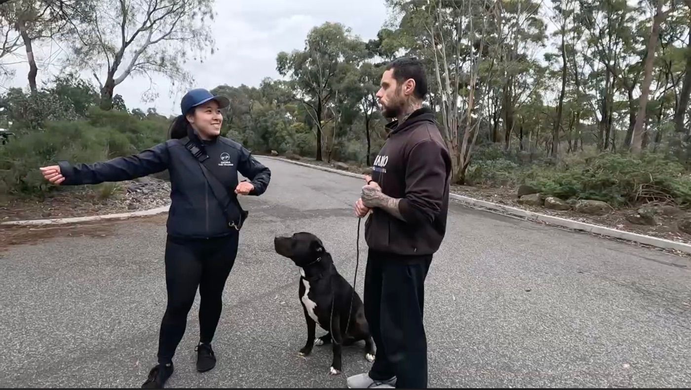 Diona coaching an owner and his dog in a real session