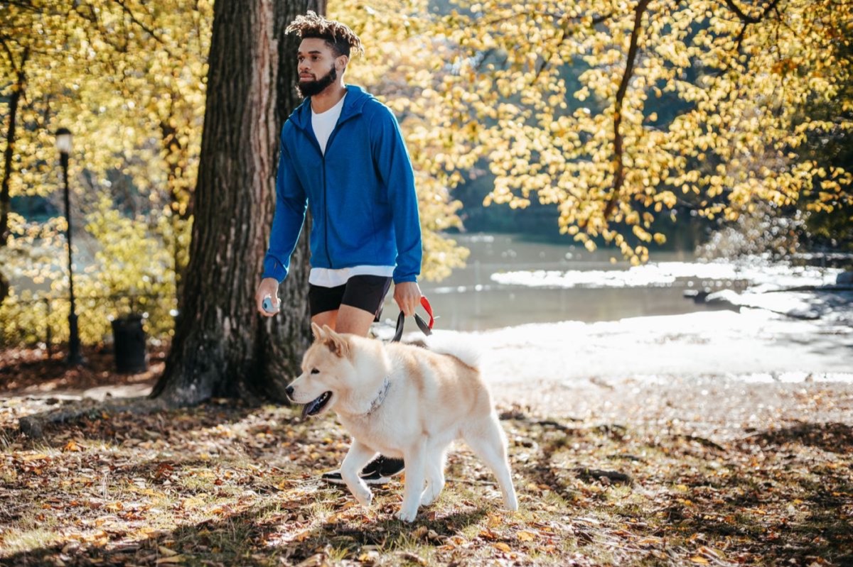 Handler and dog walking away together calmly on a loose lead