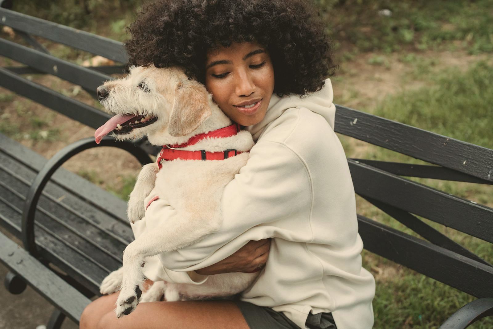 An owner holding their dog close on a park bench, a quiet bonded moment